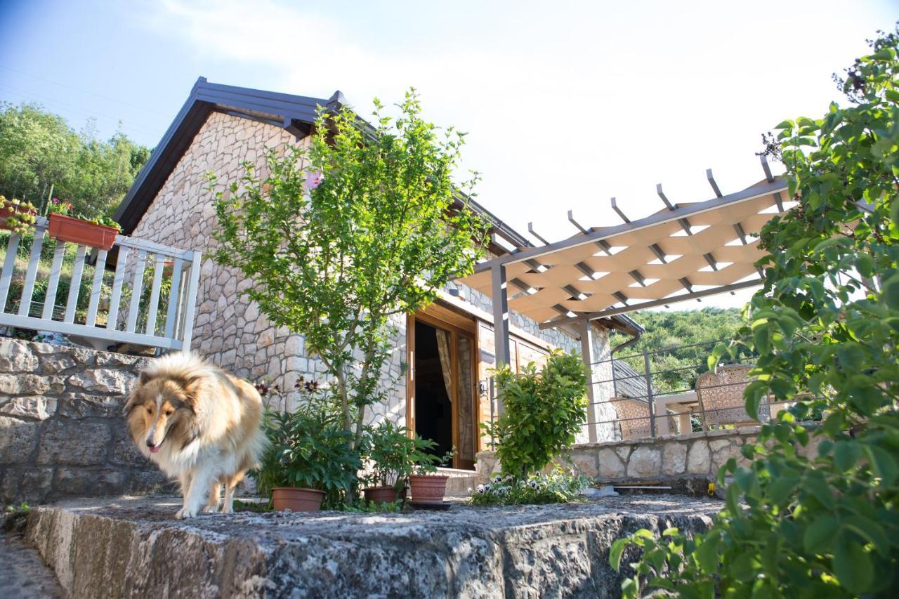 Villa Kamena Kuca Hutovo Blato à Čapljina Extérieur photo